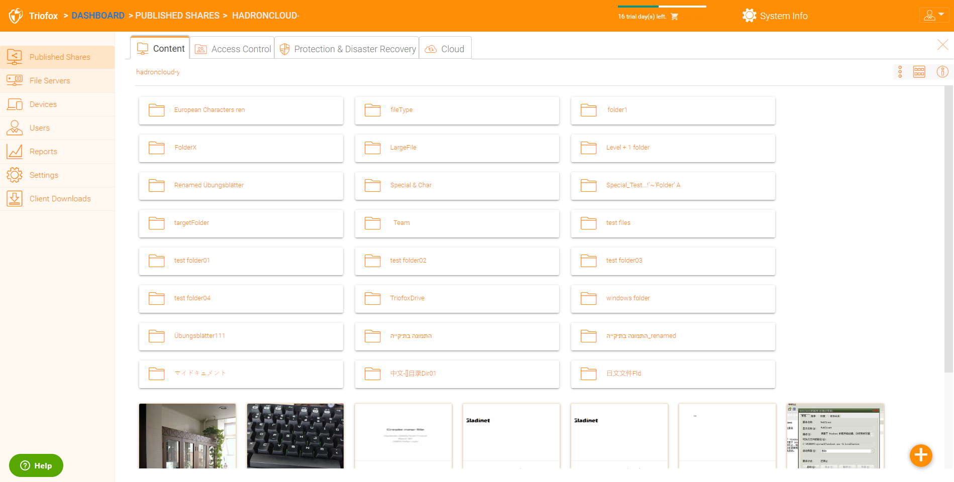 triofox dashboard info